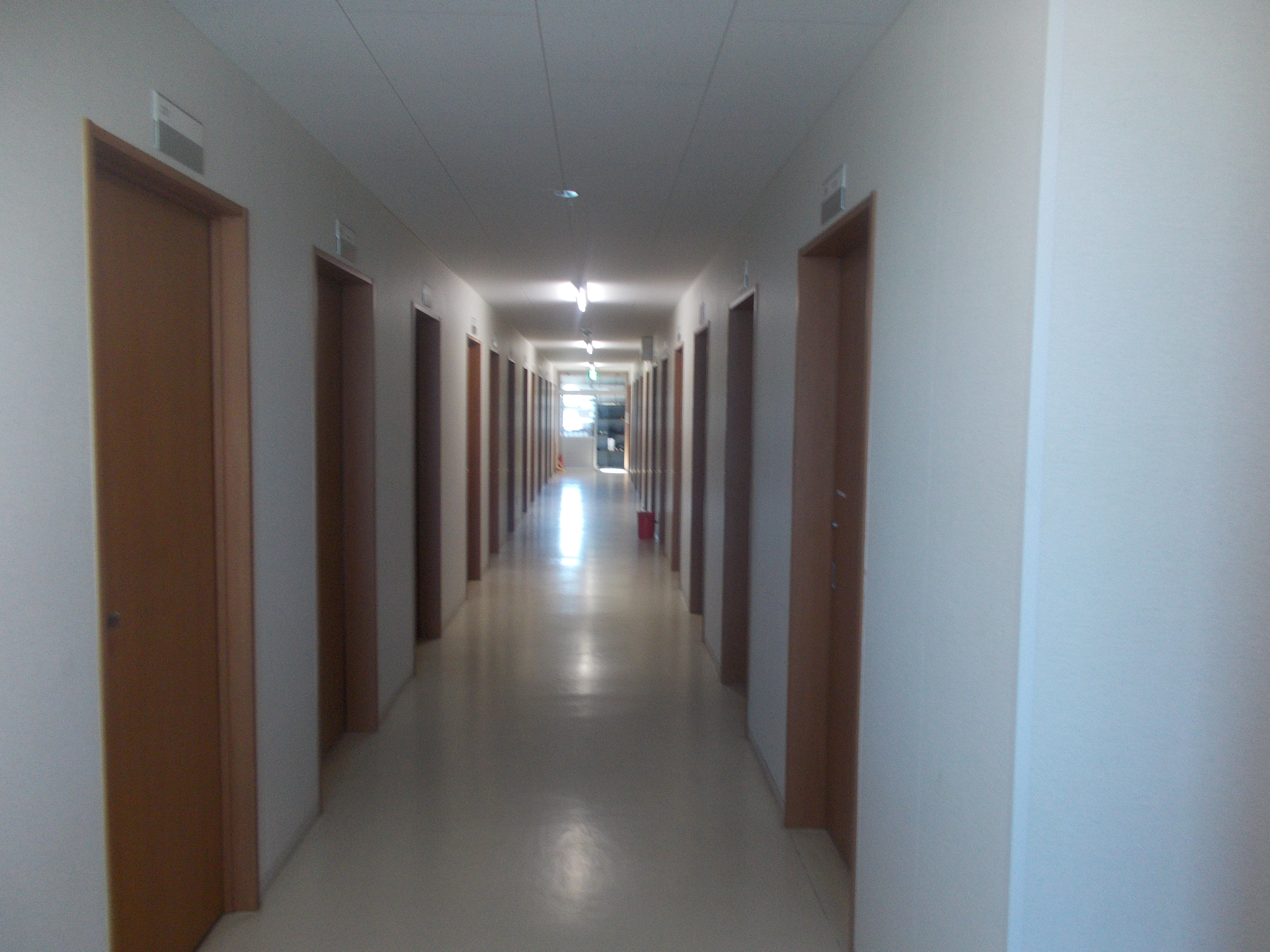 施設2階の明るい渡り廊下