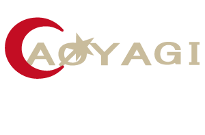ЃAIM